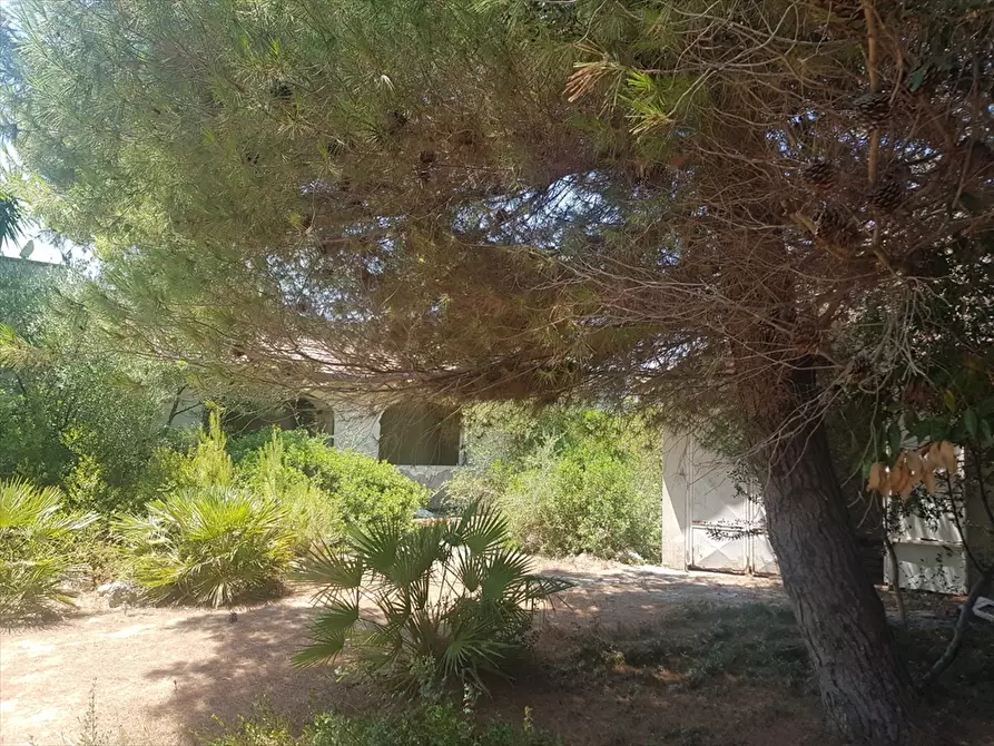 Immagine 26 di Villa in vendita  in Rosa Marina Via Jasmine 13 a Ostuni