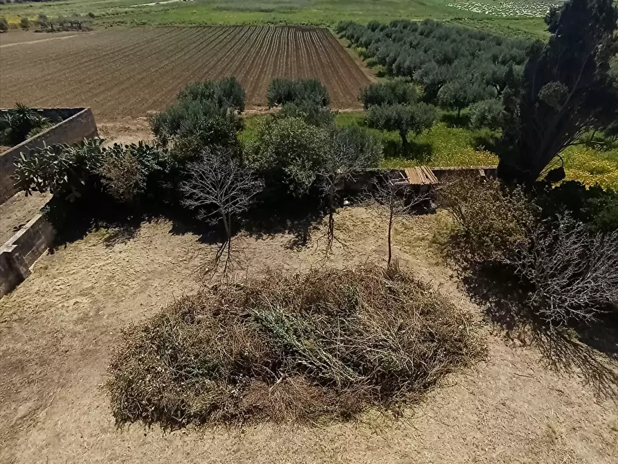 Immagine 2 di Casa indipendente in vendita  a Paceco