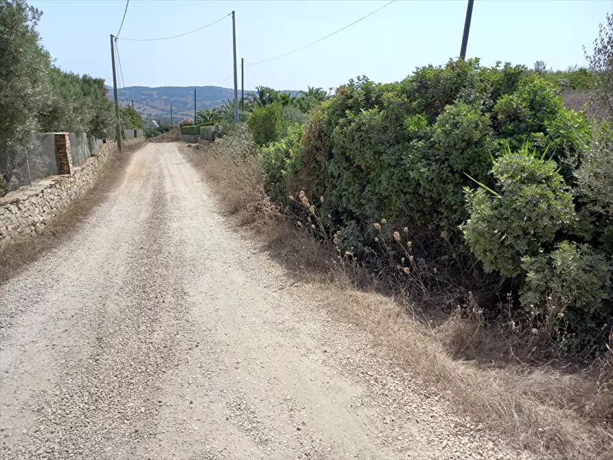 Immagine 9 di Terreno agricolo in vendita  in Biancareddu La Nurra 