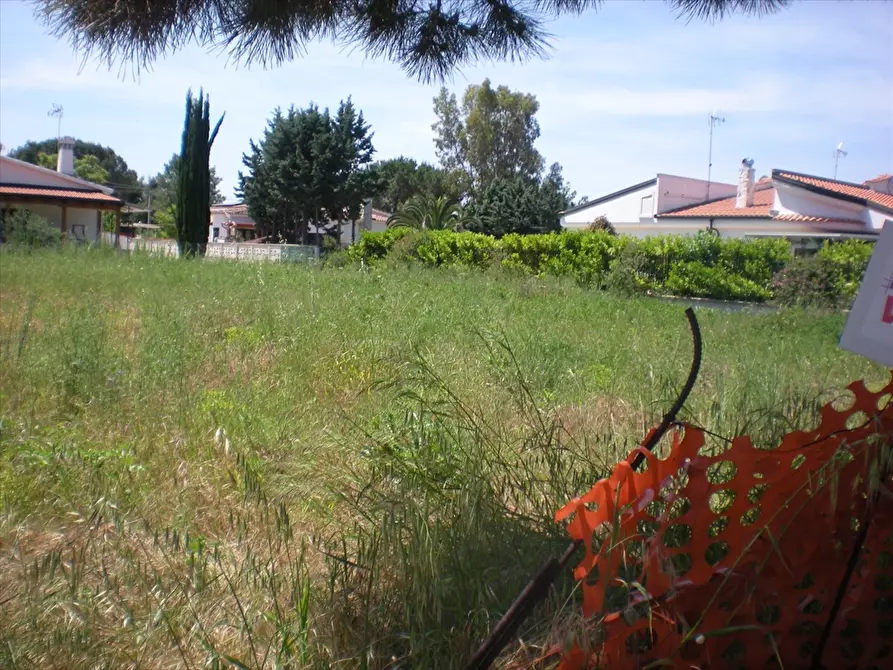 Immagine 3 di Terreno edificabile in vendita  a Manfredonia