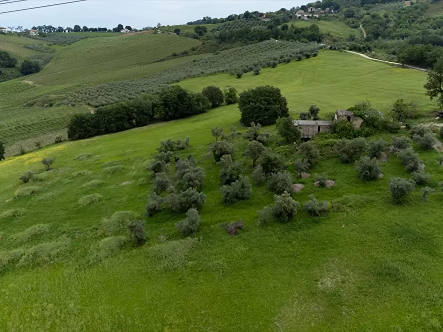 Immagine 11 di Terreno agricolo in vendita  a Bucchianico