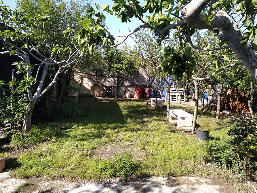 Immagine 4 di Terreno agricolo in vendita  a Cerignola