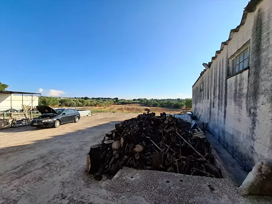 Immagine 11 di Casa indipendente in vendita  in Contrada Putignano 80 a Conversano