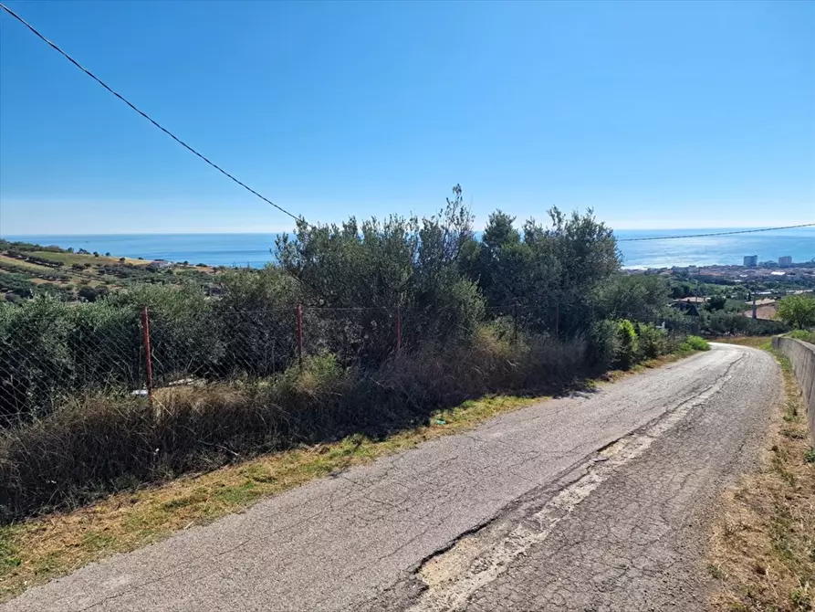 Immagine 1 di Terreno edificabile in vendita  in Contrada Colle Stella a Silvi