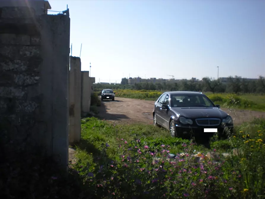 Immagine 5 di Terreno agricolo in vendita  a Cerignola