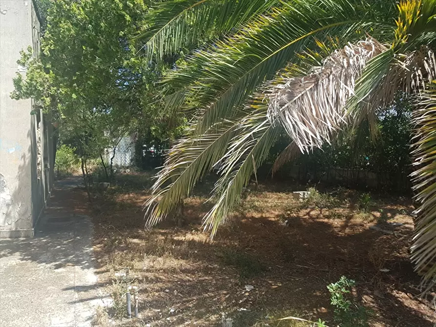 Immagine 5 di Villa in vendita  in Rosa Marina Via Jasmine 13 a Ostuni