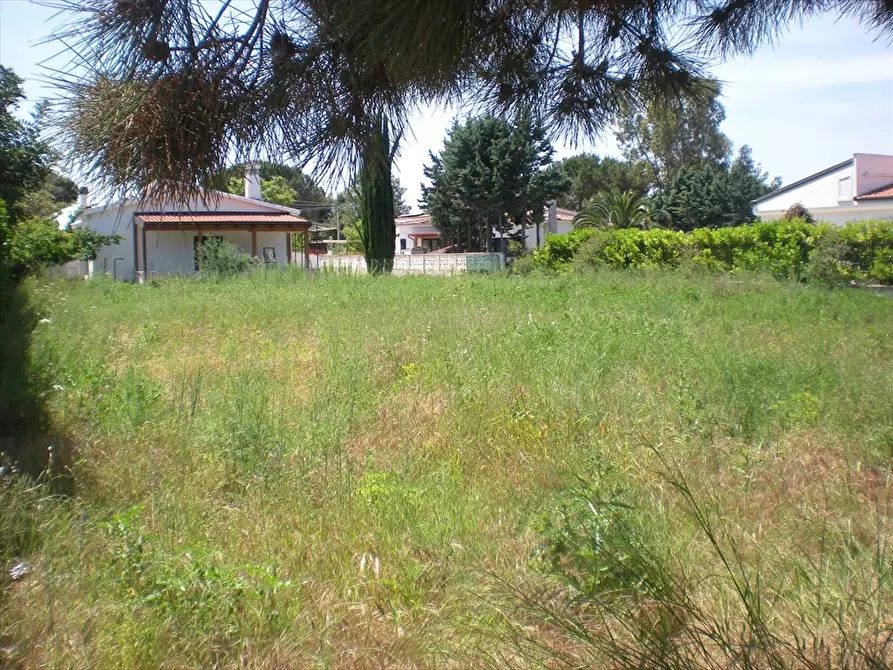 Immagine 2 di Terreno edificabile in vendita  a Manfredonia