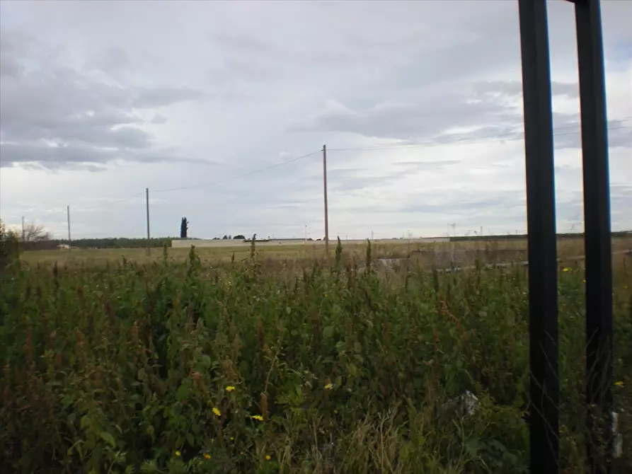 Immagine 7 di Terreno agricolo in vendita  in Via Manfredonia a Cerignola