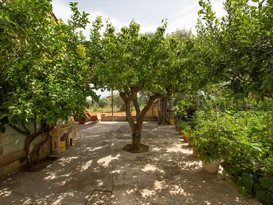 Immagine 24 di Villa in vendita  in C.da S. Cecilia,3 a Francavilla Al Mare