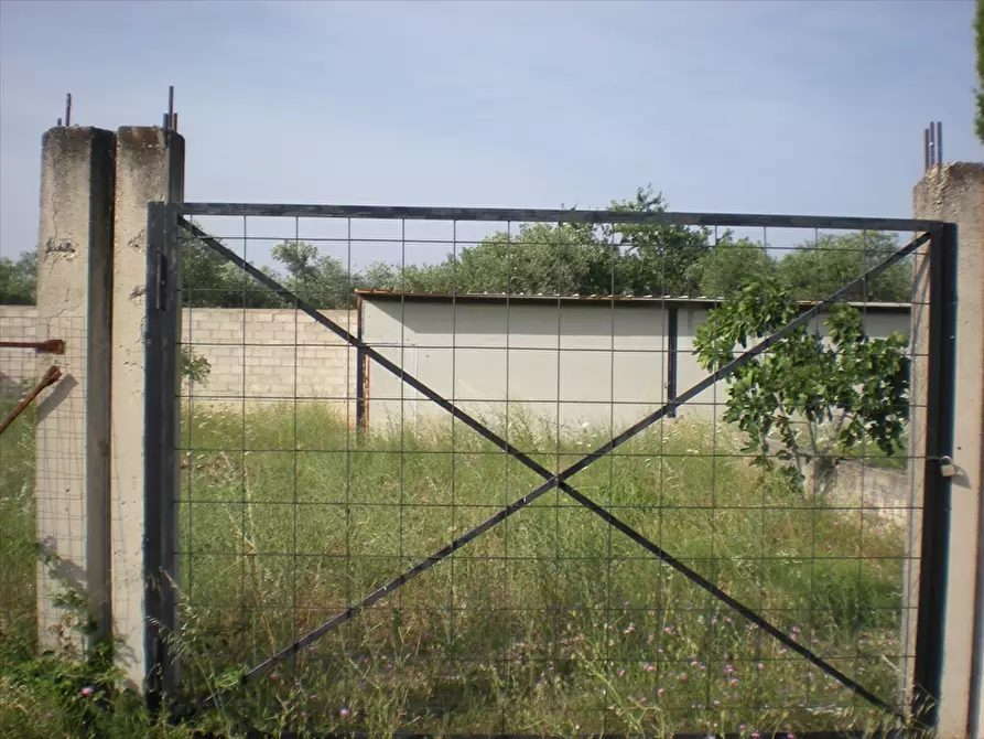 Immagine 5 di Terreno edificabile in vendita  in Via Torre Quarto a Cerignola