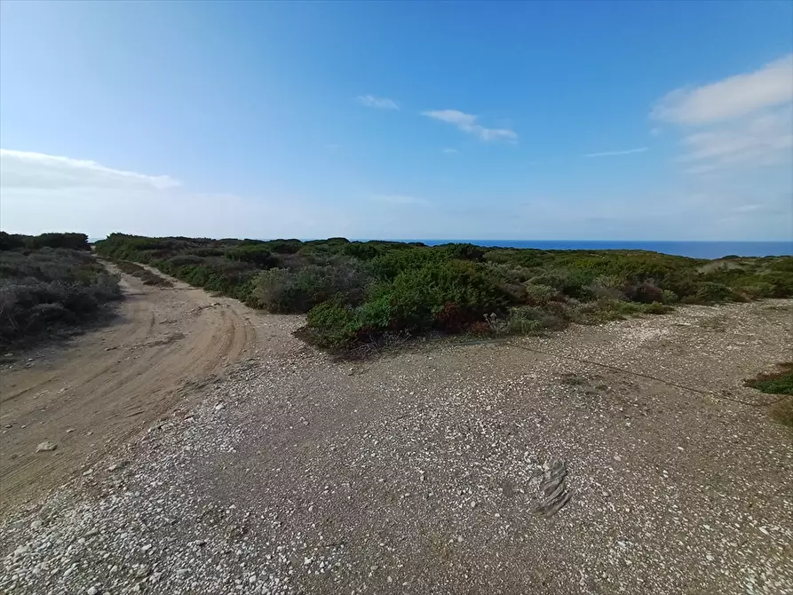 Immagine 24 di Terreno agricolo in vendita  in Cala Scoglietti 