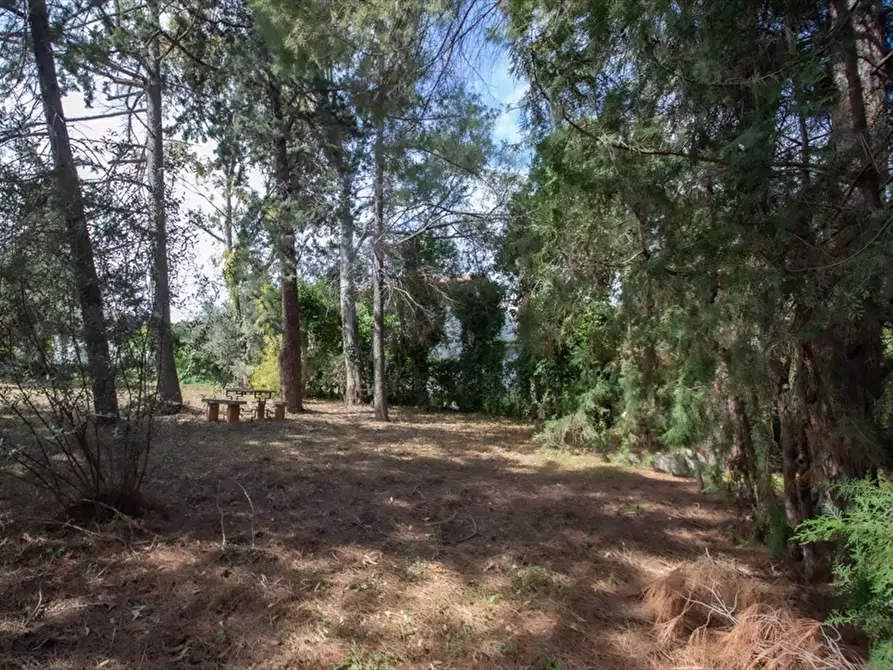 Immagine 16 di Villa in vendita  in VIA  ENZO FERRARI 47 a Tortoreto