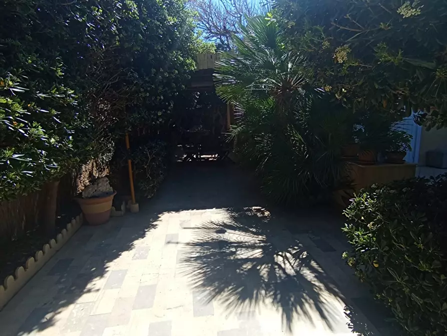 Immagine 9 di Casa indipendente in vendita  a Erice