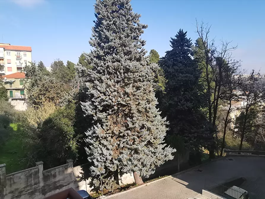 Immagine 11 di Appartamento in vendita  in Via Eugenio Bruno a Chieti