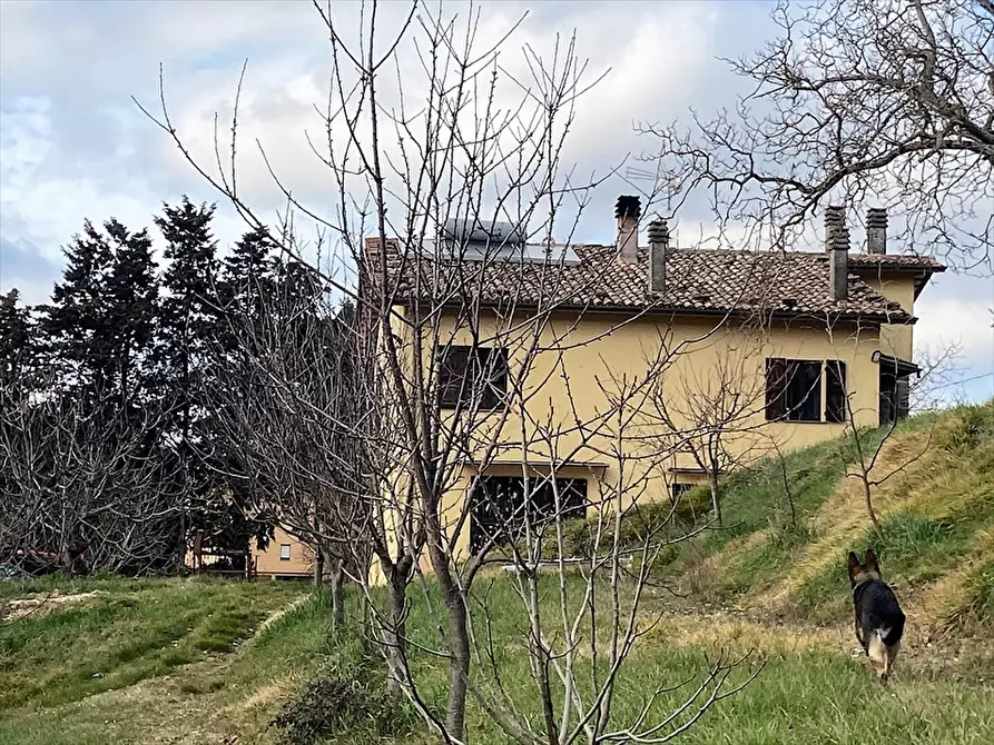 Immagine 28 di Villa in vendita  in CASACASTALDA VOCABOLO PALOMBARA 11 a Valfabbrica