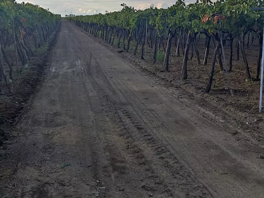 Immagine 3 di Terreno agricolo in vendita  in STRADA VIA  CANDELA a Cerignola