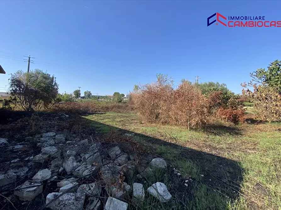 Immagine 5 di Villa in vendita  in contrada fogliaro a Crispiano