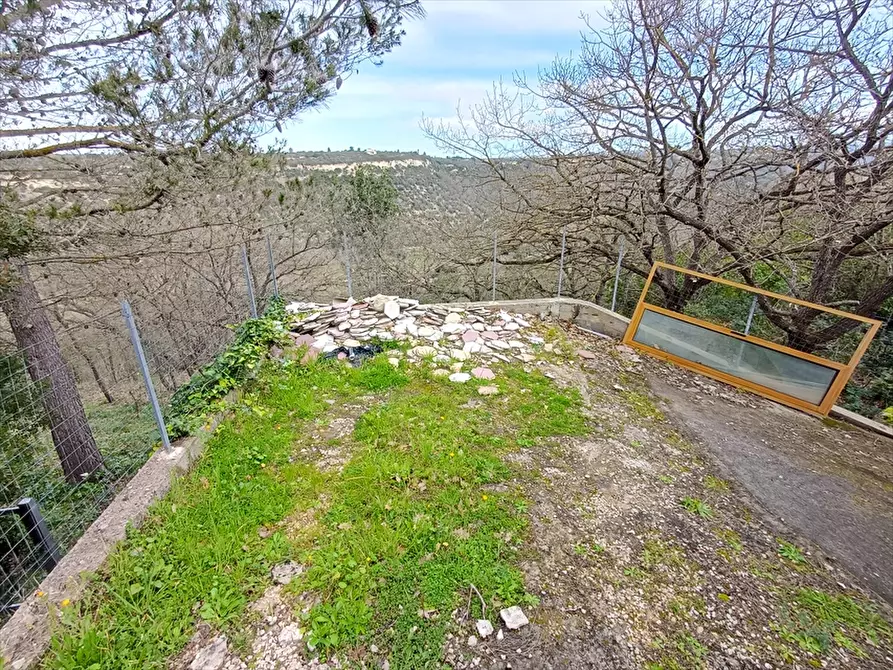 Immagine 4 di Terreno agricolo in vendita  in Zipirianu Località Ledò a Tissi