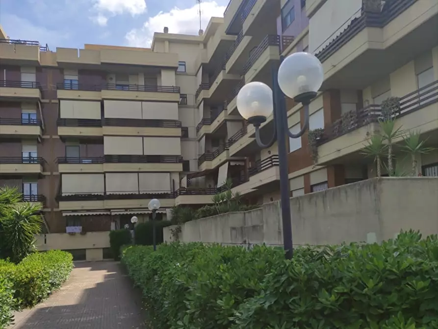 Immagine 3 di Appartamento in vendita  a Cerignola