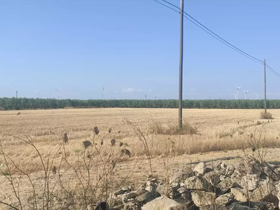 Immagine 3 di Terreno agricolo in vendita  in CONTRADA PAVONI  a Cerignola
