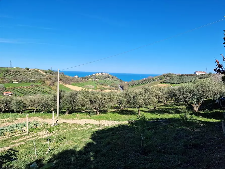Immagine 1 di Terreno agricolo in vendita  in Contrada Piane Maglierici a Silvi