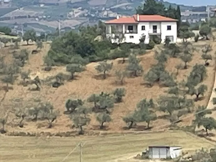Immagine 1 di Casa indipendente in vendita  in Via Belvedere 27 a Collecorvino