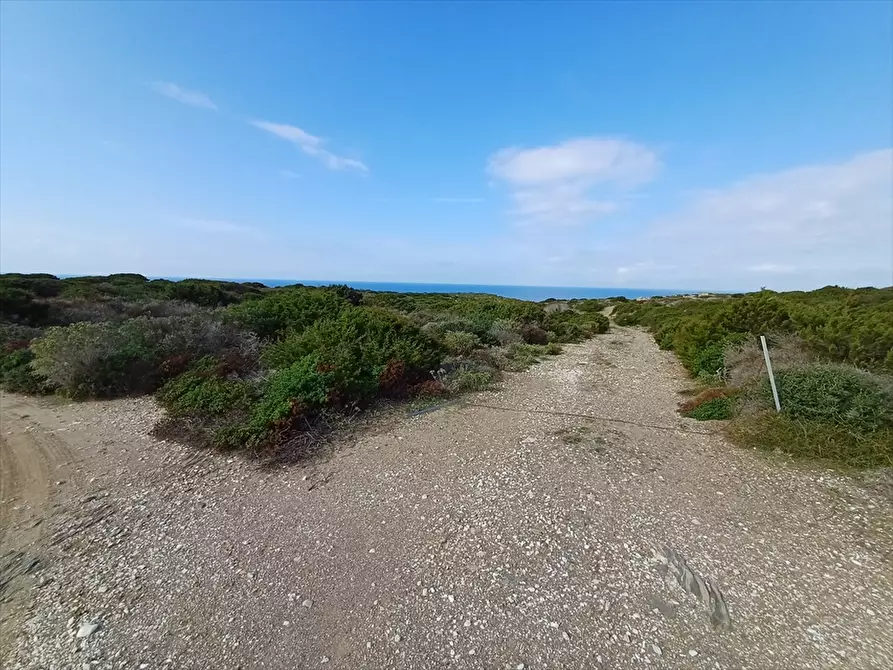 Immagine 26 di Terreno agricolo in vendita  in Cala Scoglietti 