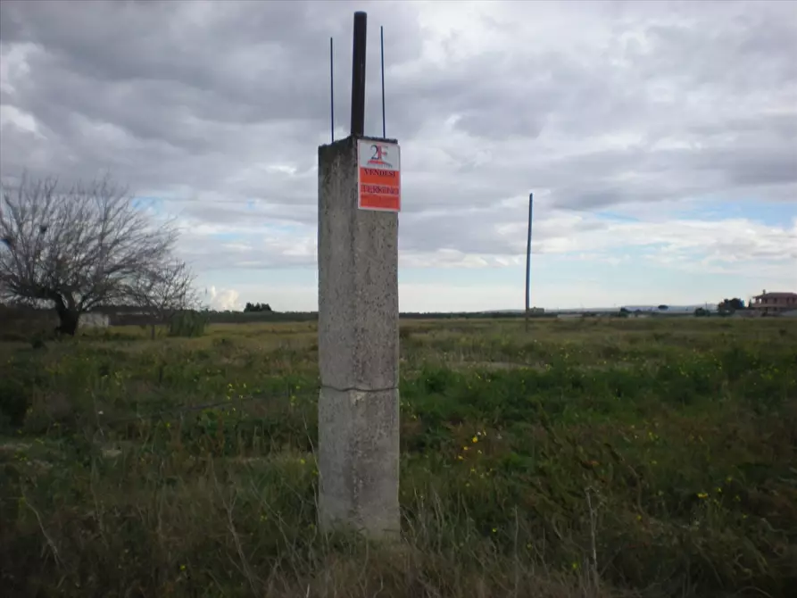Immagine 4 di Terreno agricolo in vendita  in Via Manfredonia a Cerignola
