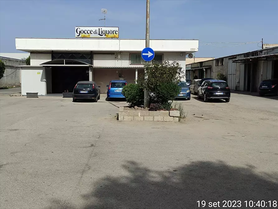 Immagine 2 di Terreno agricolo in vendita  in  VIA TRINITAPOLI  a Cerignola