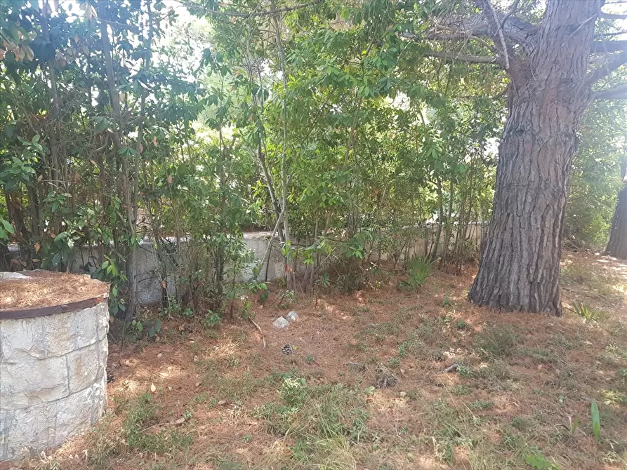 Immagine 24 di Villa in vendita  in Rosa Marina Via Jasmine 13 a Ostuni