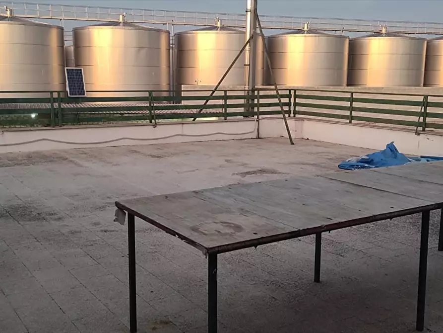 Immagine 4 di Capannone industriale in vendita  a Cerignola