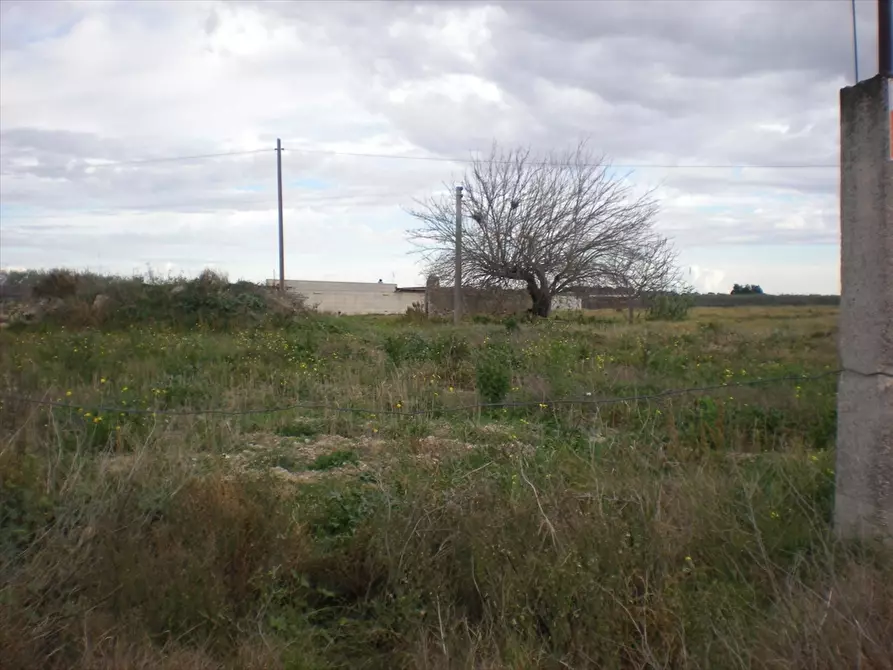 Immagine 2 di Terreno agricolo in vendita  in Via Manfredonia a Cerignola