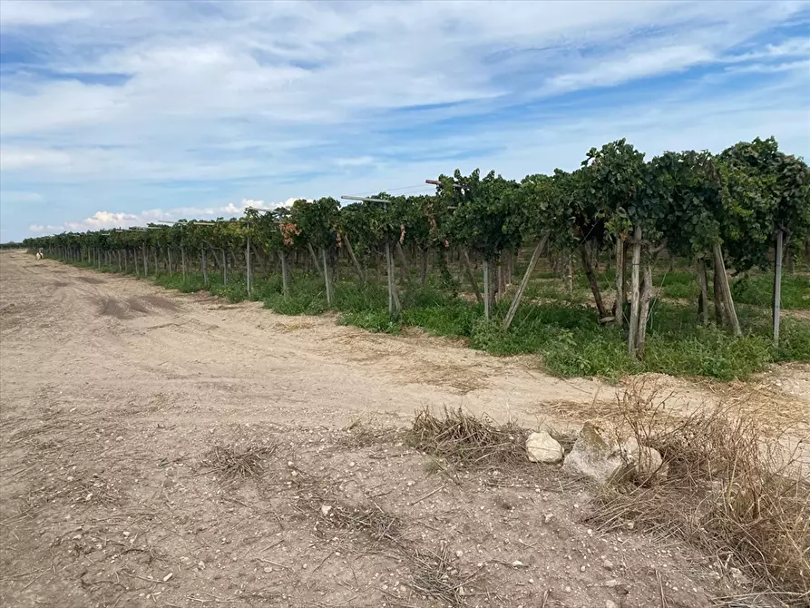 Immagine 1 di Terreno agricolo in vendita  in 