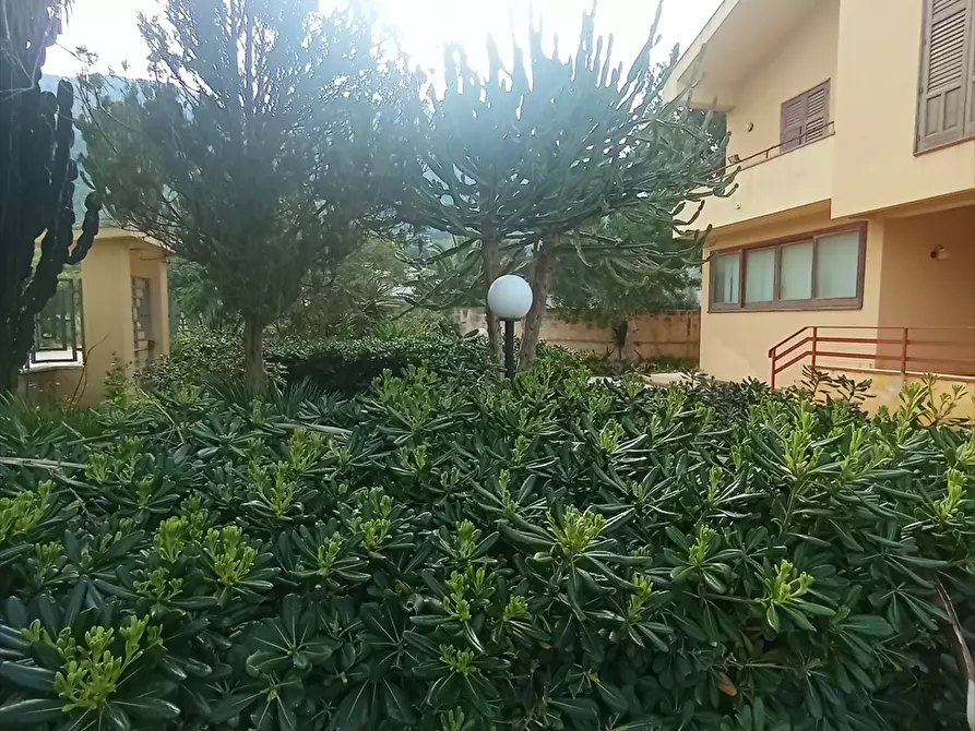 Immagine 8 di Casa indipendente in vendita  a Erice
