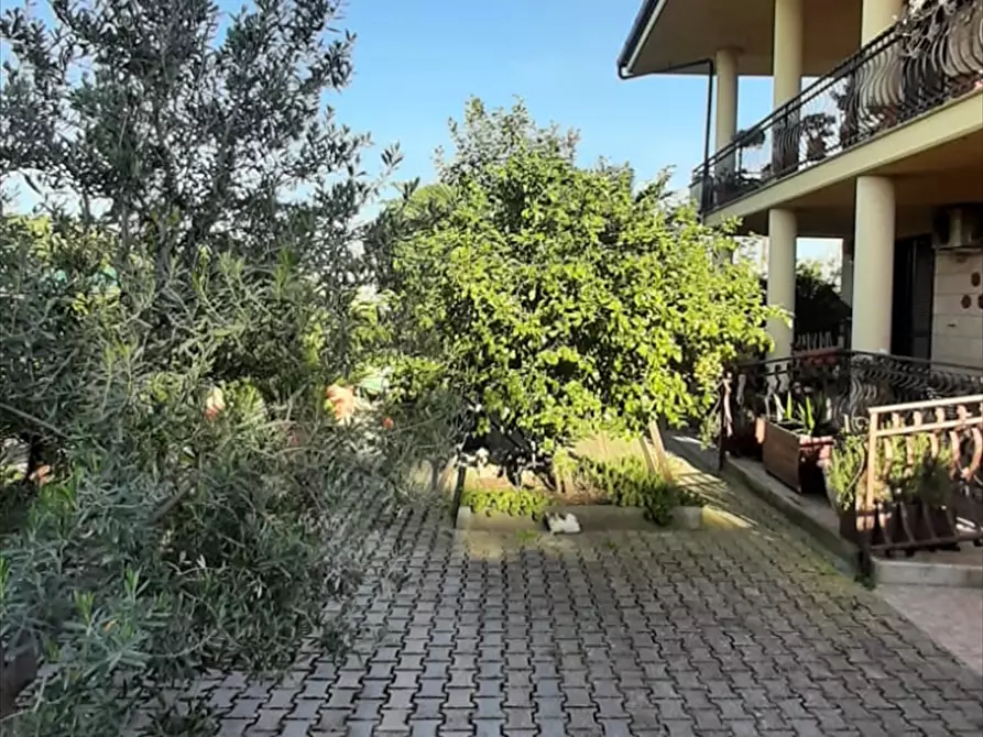 Immagine 3 di Capannone industriale in vendita  a Cerignola