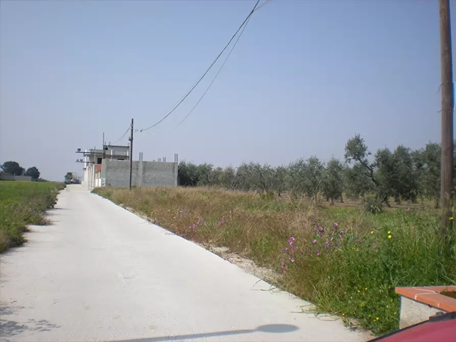 Immagine 4 di Terreno agricolo in vendita  a Cerignola