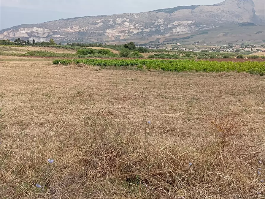 Immagine 2 di Terreno edificabile in vendita  a Buseto Palizzolo