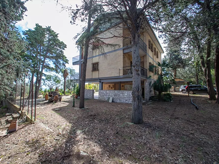 Immagine 15 di Villa in vendita  in VIA  ENZO FERRARI 47 a Tortoreto