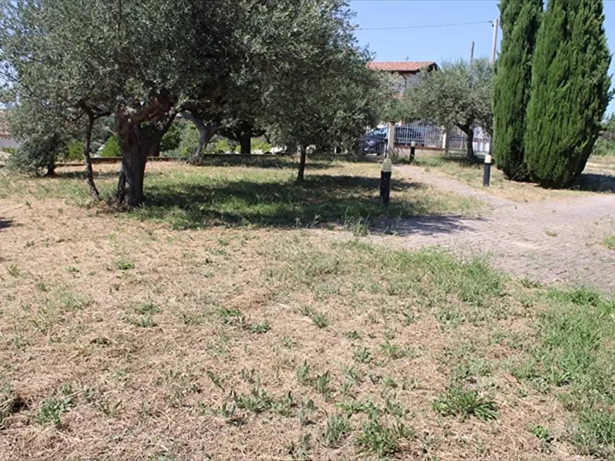 Immagine 5 di Casa indipendente in vendita  in Via Belvedere 27 a Collecorvino