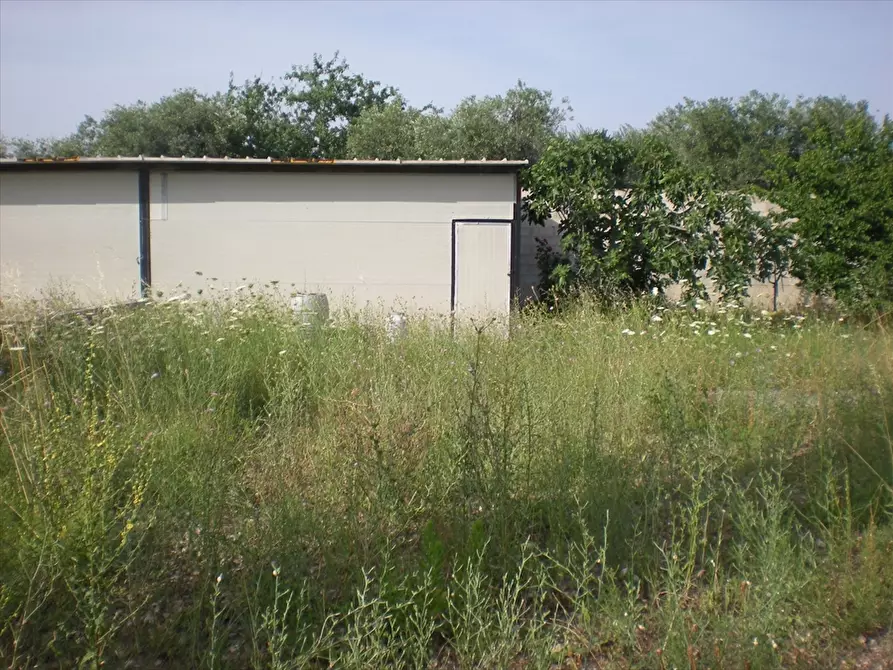 Immagine 2 di Terreno edificabile in vendita  in Via Torre Quarto a Cerignola
