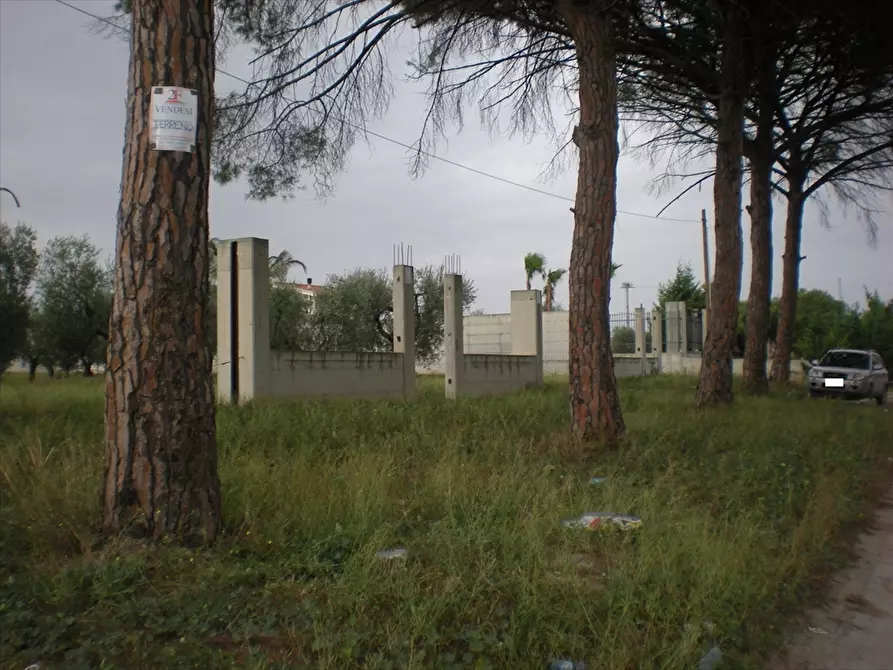 Immagine 6 di Terreno agricolo in vendita  a Cerignola