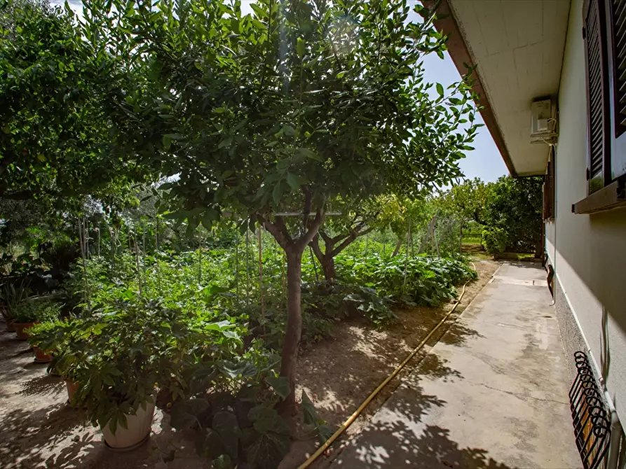 Immagine 25 di Villa in vendita  in C.da S. Cecilia,3 a Francavilla Al Mare