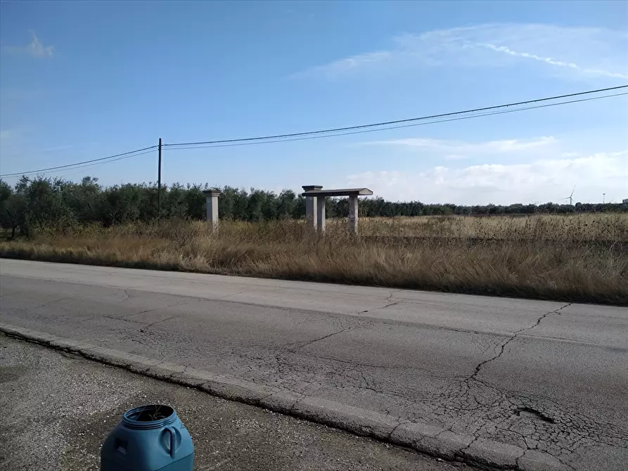 Immagine 2 di Terreno agricolo in vendita  a Cerignola