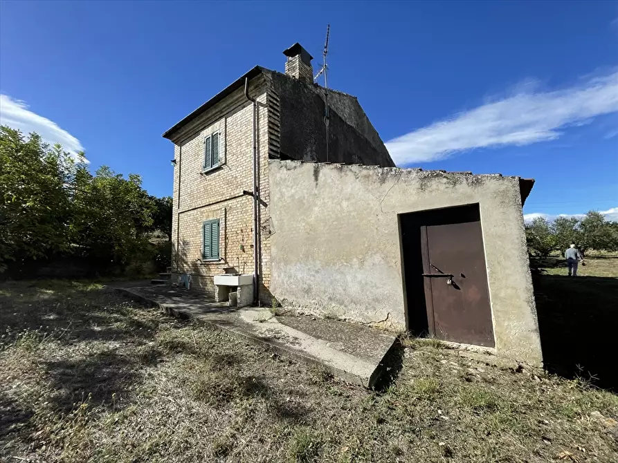 Immagine 4 di Rustico / casale in vendita  a Casalincontrada