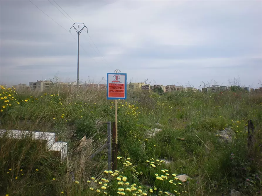 Immagine 5 di Terreno edificabile in vendita  in Via TEANO a Cerignola
