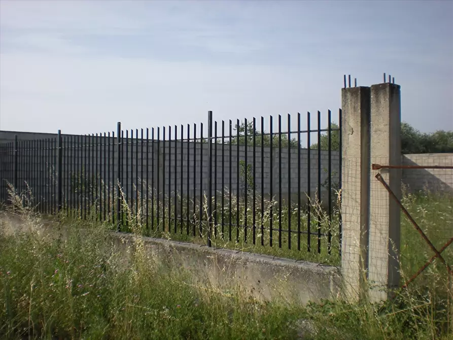 Immagine 6 di Terreno edificabile in vendita  in Via Torre Quarto a Cerignola