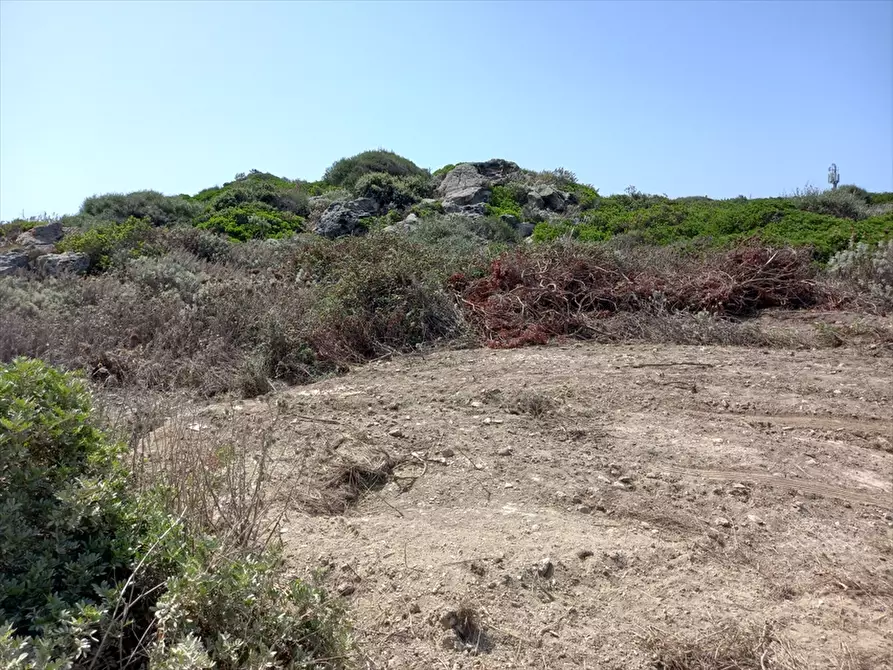 Immagine 14 di Terreno agricolo in vendita  in Biancareddu La Nurra 