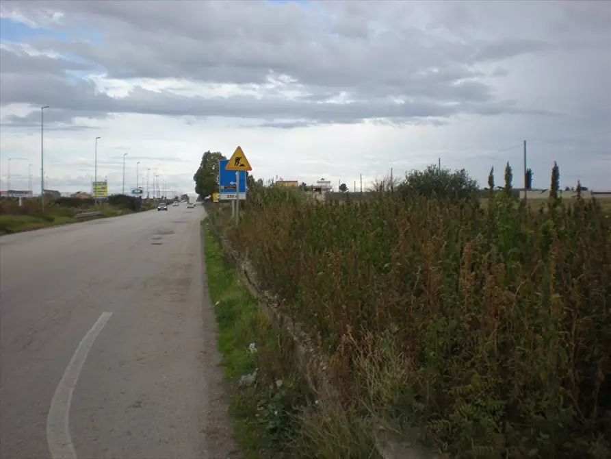 Immagine 6 di Terreno agricolo in vendita  in Via Manfredonia a Cerignola