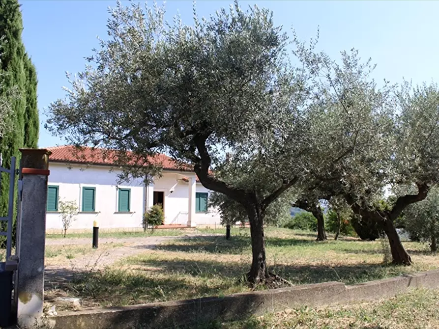 Immagine 22 di Casa indipendente in vendita  in Via Belvedere 27 a Collecorvino