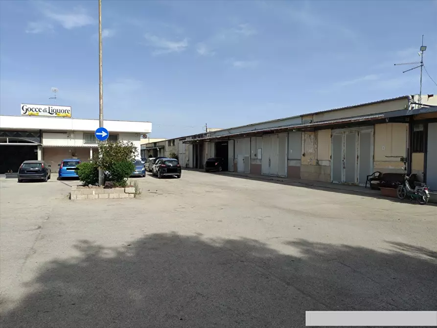 Immagine 5 di Terreno agricolo in vendita  in  VIA TRINITAPOLI  a Cerignola